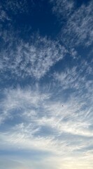blue sky with clouds and a bird