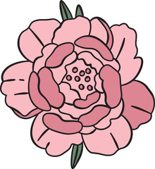 Peony Flower Sketch