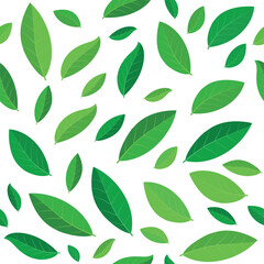 Green Leaves Pattern - Leaves of Different Sizes in Green Tones Messy on a White Background. A Organic Design for Botanical and Nature Themes. Seamless Link.