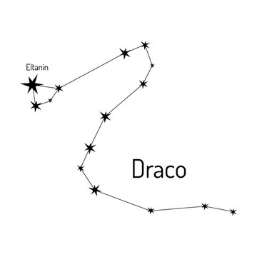 Minimalistic vector illustration of the Draco constellation with labeled star Eltanin. Ideal for astronomy lovers, educational materials, and celestial-themed designs.