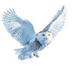 A Majestic Snow Owl Flying Over Snowy Fields Isolated on Transparent Background