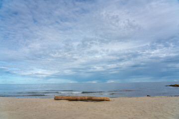 Wooden log on the sand at the edge of a beach in the Caribbean of Colombia.