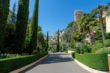 Obraz premium Strolling along a landscaped path in a beautiful garden with lush greenery, palm trees, and modern architecture in the background on a sunny day