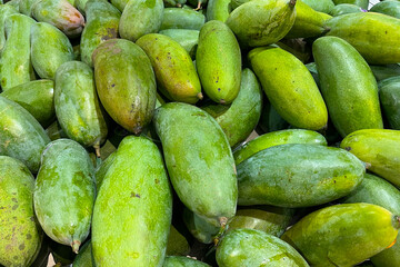 A pile of unripe, green mangoes at a market.