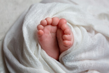 Tiny newborn feet wrapped in a white blanket