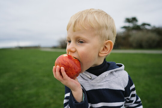 Boy bites an apple