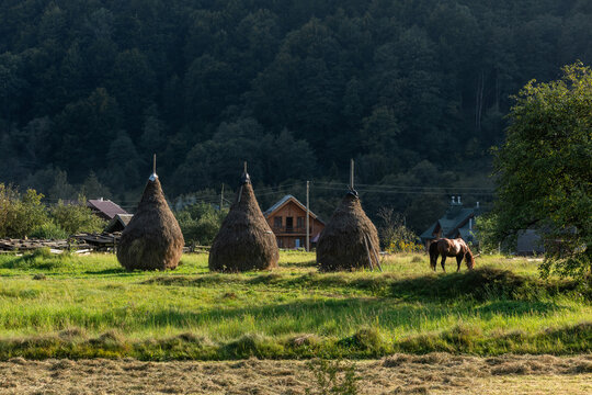 Landscape of field in mountains