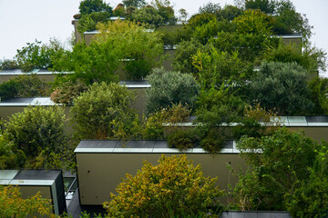 Plant vegetation on urban building architecture, vertical garden