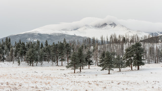 Dawn within Rocky Mountains National Park in Winter. Colorado. vt