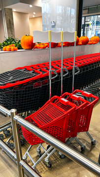 UGC kids grocery shopping cart 