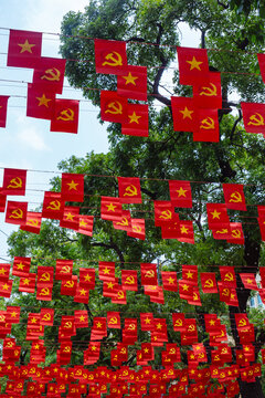 Flags in Hanoi