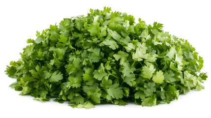 Obraz premium Whole Parsley Bunch on White Background
