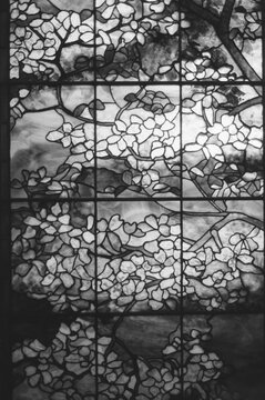 Stained glass with flower patterns