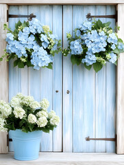 Fototapeta premium Light blue hydrangeas in pots adorn a rustic light blue wooden door AI generative