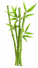 Lush green bamboo stalks with vibrant leaves, isolated on white (1) AI generative