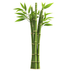 A Bundle of Green Bamboo Stalks with Leaves Isolated on Transparent Background