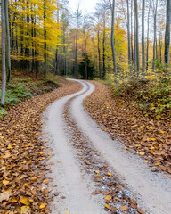 Naklejka premium Winding gravel road through autumnal forest with golden leaves AI generative