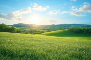 Obraz premium Serene Green Meadow Landscape with Rolling Hills and Blue Sky