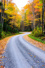Obraz premium Winding gravel road through vibrant autumn foliage AI generative