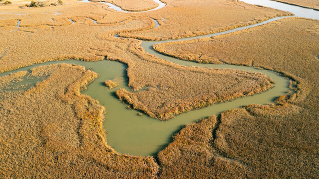 Looking down at a wetland at sunrise.