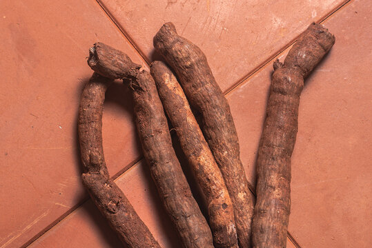 Winter Special Magali Pickle
