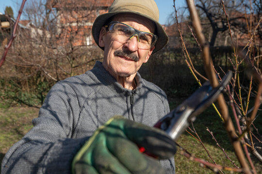 Gardener with pruning shears