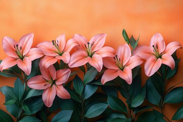 Fototapeta premium Pink lilies and green leaves on a bright orange background