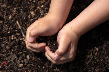 Kid holding soil. Child planting. Small hands with ground. Black soil in kids hands. Farm life for children. Earth in tiny hands. Rural childhood. Kid holding soil. Kid grasping rich soil.