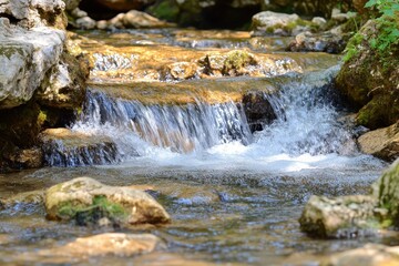 Obraz premium Water flows over rocks, forming a mini waterfall in a natural, wooded setting, providing a tranquil view