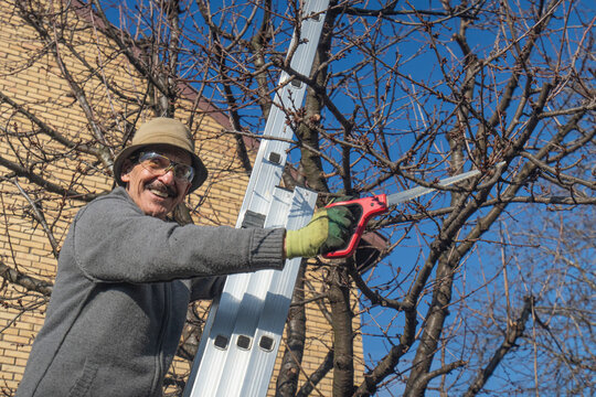 Gardener with pruning saw.