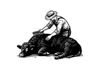 Japanese Black wagyu cattle hand drawn vector illustration