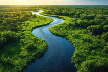 Aerial View of Lush Green Forests and Winding River Landscape in Summer