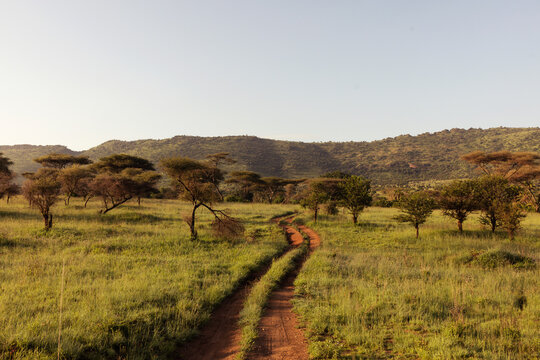 Sunrise in the Serengeti