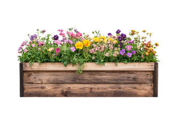 Colorful flowering plants arranged in a wooden planter isolated on transparent background