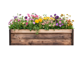 Colorful flowering plants arranged in a wooden planter isolated on transparent background