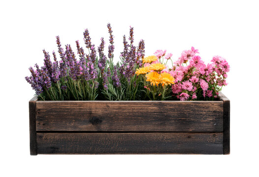 Bouquet colorful spring flowers in basket isolated on transparent background