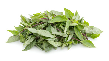 Fresh Thai Basil Leaves