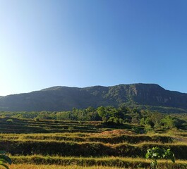 Obraz premium landscape in the mountains