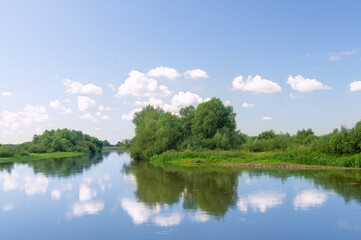 Coast of the summer river.