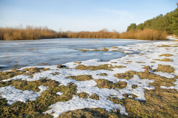 Snow melting under the spring sun.