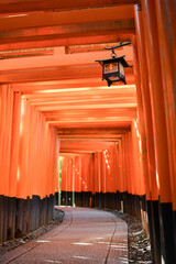 赤い鳥居の道