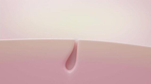 Blackhead Removal with Pore Tightening Effect