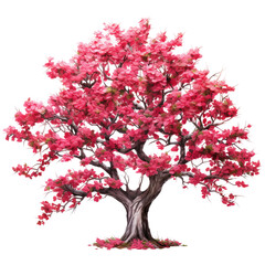 Obraz premium tree isolated on white background 