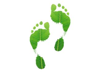green leaf growing footprints, co2 symbol isolated on White Background. Reduce CO2 emission concept.Clean and friendly environment without carbon dioxide emissions.