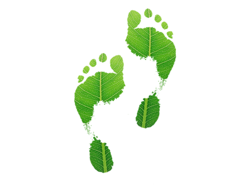green leaf growing footprints, co2 symbol isolated on White Background. Reduce CO2 emission concept.Clean and friendly environment without carbon dioxide emissions.