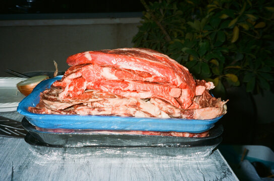 Fresh Cuts Of Raw Meat On A Blue Tray  Ready for Grilling at Backyard 