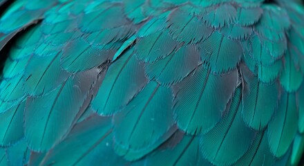 Fototapeta premium Vibrant Teal Parrot Feathers Close Up. AI Generated