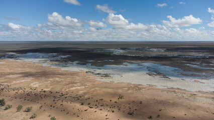 Drone shot of the bush near Bedourie, Diamantina Shire, channel country, Queensland, during March 2025 floods