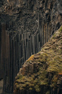 Basalt Columns with Vegetation