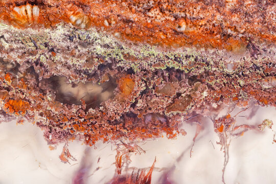 Java Moss Agate Closeup  